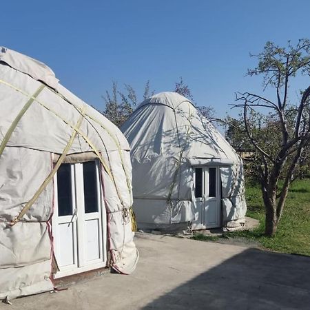 Yurt Stay In Downtown Karakol Exterior foto