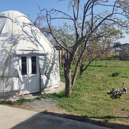 Yurt Stay In Downtown Karakol Exterior foto