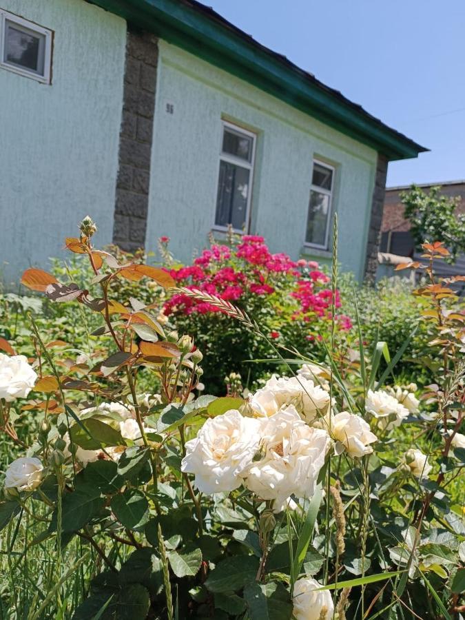 Yurt Stay In Downtown Karakol Exterior foto